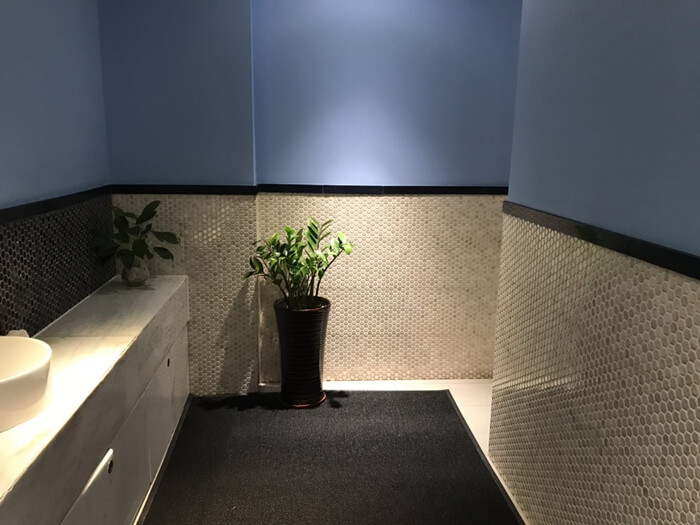neat WC design in shopping mall.jpg